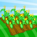 Farm Fun